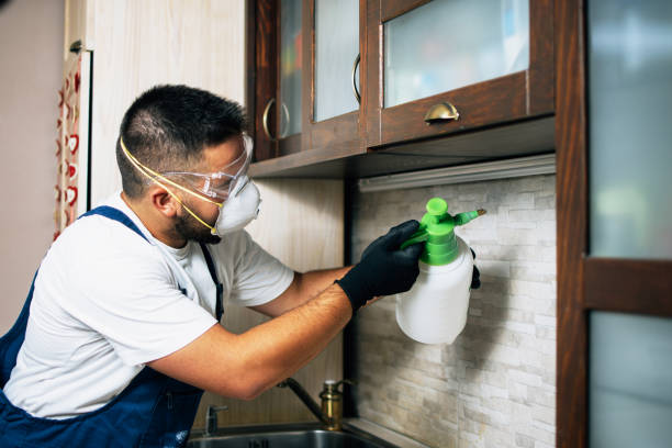 Best Wasp Removal Services  in Troy, OH
