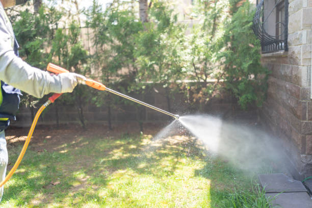 Best Affordable Pest Control Services  in Troy, OH