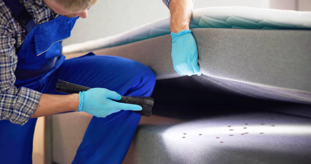 Best Pest Control Near Me  in Troy, OH