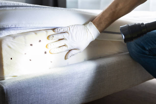 Pest Control for Restaurants in Troy, OH