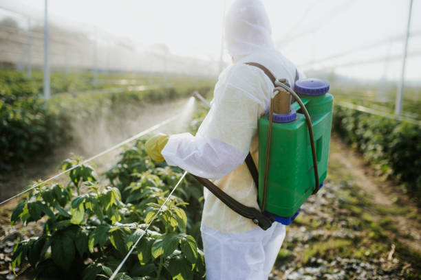 Best Affordable Pest Control Services  in Troy, OH